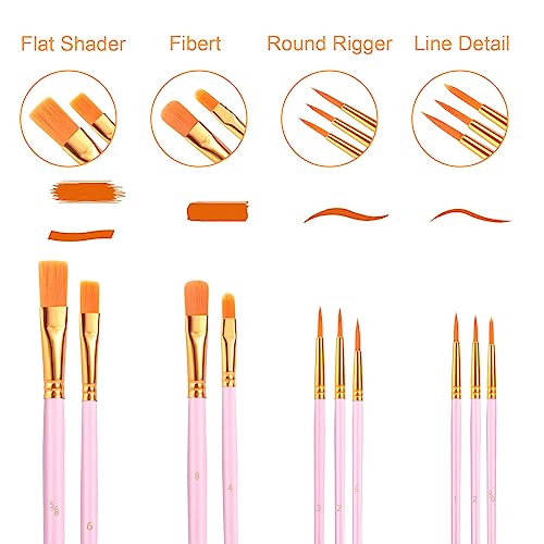 AROIC Acrylic Paint Brushes, 6 Packs/60 pcs Nylon Hair Paint Brush Set for All Purpose Oil Watercolor Painting Artist Professional Kits (Pink) AROIC