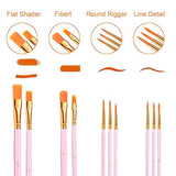 AROIC Acrylic Paint Brushes, 6 Packs/60 pcs Nylon Hair Paint Brush Set for All Purpose Oil Watercolor Painting Artist Professional Kits (Pink) AROIC