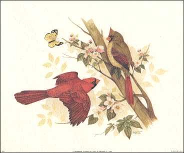 DSC Red Cardinal Birds Paper Tole 3D Decoupage Craft Kit Size 8x10 inches 8-385 - WoodArtSupply