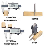 Clockwise Tools IP54 Grade Digital Caliper, DCLR-0805 0-8" /200mm, Inch/Metric/Fractions Conversion, Stainless Steel, Large LCD Screen Clockwise Tools