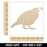 Plump California Quail Unfinished Wood Shape Piece Cutout for DIY Craft Projects - 1/8 Inch Thick - 6.25 Inch Size Sniggle Sloth