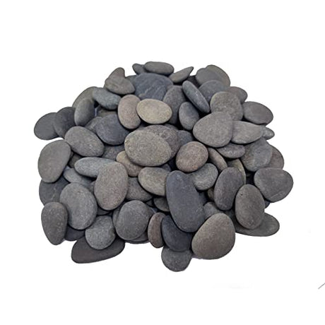 Handpicked 100pcs 1-1.5 inch Small Painting Rocks, Natural River Rocks Smooth Flat Pebbles for Crafts, Painting Activities, DIY Decorative Flower Nasrslla