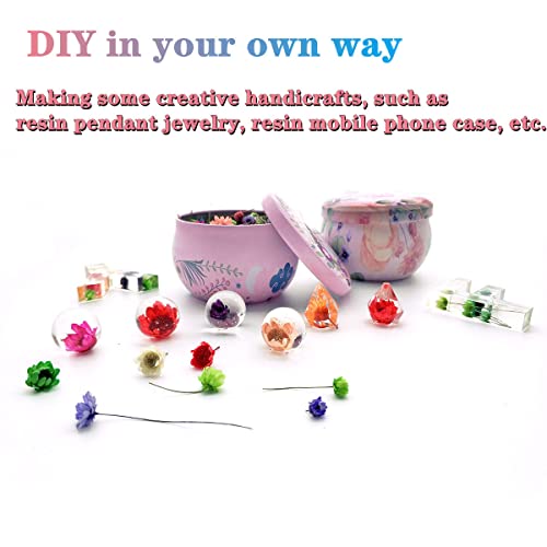 CellLuck Small Dried Flowers for Resin, 600PCs Hand-Picked Brazilian Mini Daisy Dry Flowers, Mixed Real Natural Dried Flowers for Epoxy Resin, CellLuck