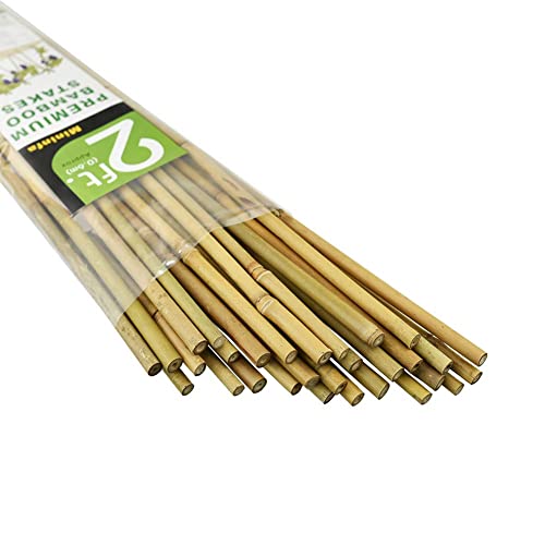 Mininfa Natural Bamboo Stakes 2 Feet, Eco-Friendly Garden Stakes, Plant Stakes Supports Climbing for Tomatoes, Trees, Beans, 30 Pack Mininfa