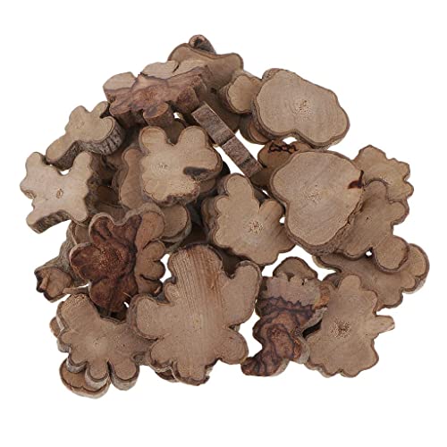 30pcs Irregular Wood Log Slices Natural Tree Decorative Embellishments SYZ-inems