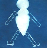 SunPrint Paper Kit SunPrint