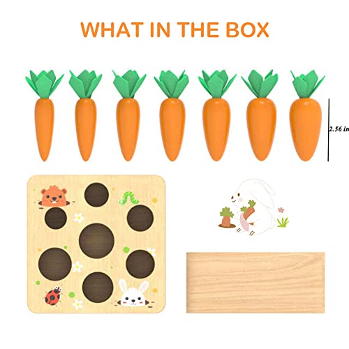 Montessori Toys for 1 Year Old, Wooden Toys Developmental Shape Sorting & Matching Puzzle Carrots Harvest Game, Birthday Gifts for Toddlers Babies Wdmiya