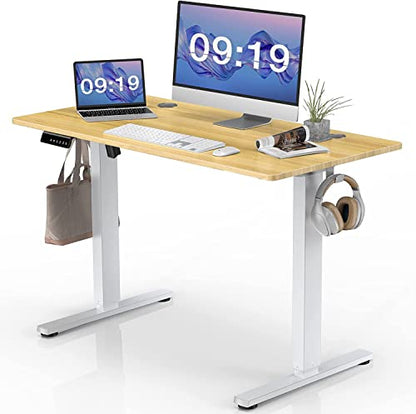 SMUG Standing Desk, 40 x 24 in Electric Height Adjustable Computer Desk for Home Office, Sit Stand up Work Gaming Table with Memory