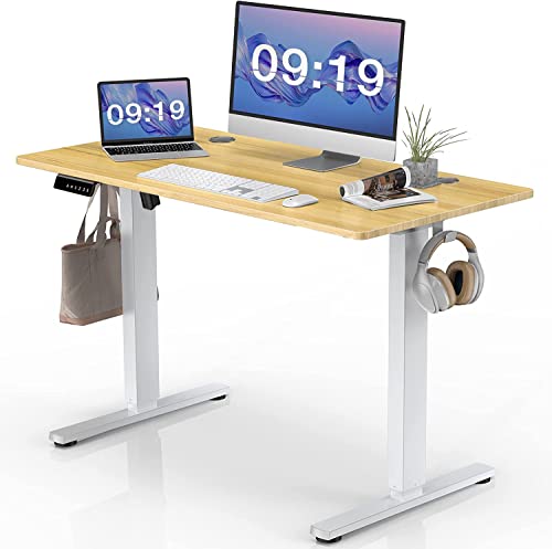 SMUG Standing Desk, 40 x 24 in Electric Height Adjustable Computer Desk for Home Office, Sit Stand up Work Gaming Table with Memory - WoodArtSupply