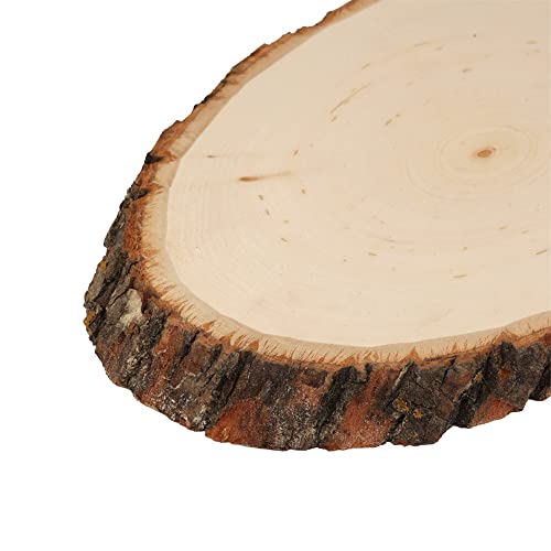 Walnut Hollow Basswood Round, Small 5-7" wide with Live Edge Wood (Pack of 1) - For Wood Burning, Home Décor, and Rustic Weddings Walnut Hollow