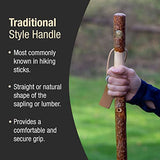 Brazos Rustic Wood Walking Stick, Twisted Sassafras, Traditional Style Handle, for Men & Women, Made in the USA, 48" Brazos