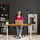 SMUG Standing Desk, 40 x 24 in Electric Height Adjustable Computer Desk for Home Office, Sit Stand up Work Gaming Table with Memory SMUG