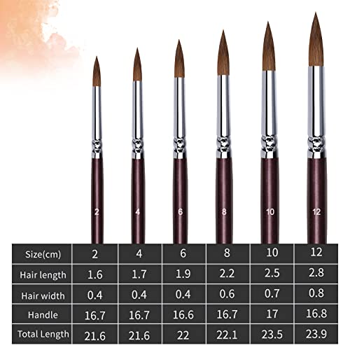 Kolinsky Watercolor Brush Set Pure Kolinsky Sable Hair Pointed Round Art Paintbrushes Premium 6 Pcs Round Tip Paint Brush Artist Acrylic Brush for - WoodArtSupply