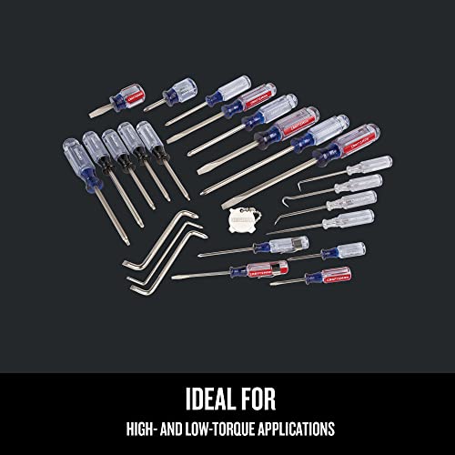 CRAFTSMAN Screwdriver Set, Assorted, 25-Piece (CMHT65046) Craftsman