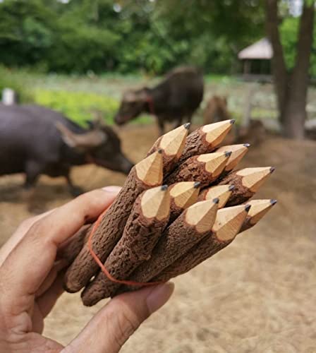 NUTTA - 12 Pencils Graphite Wooden Pencils Rustic Branch & Twig Wood Pencil Home Decoration or Gift Handmade Wooden Craft DIY Decorate Room Decor