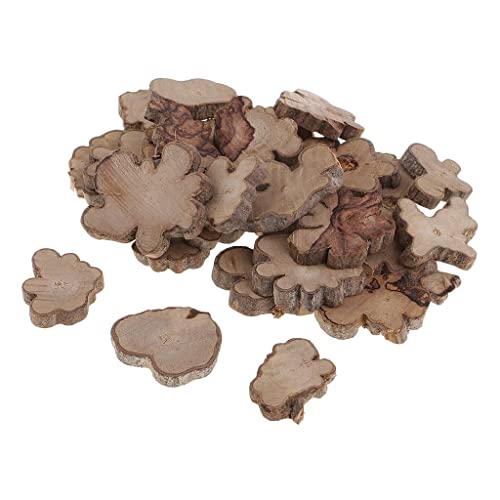 30pcs Irregular Wood Log Slices Natural Tree Decorative Embellishments SYZ-inems