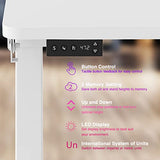 AVLT 50" Electric Standing Desk with Tilting Tabletop (4 ft 7 inches) – Height Adjustable Dry Erase Top Whiteboard and Rolling Casters – 2 Leg AVLT