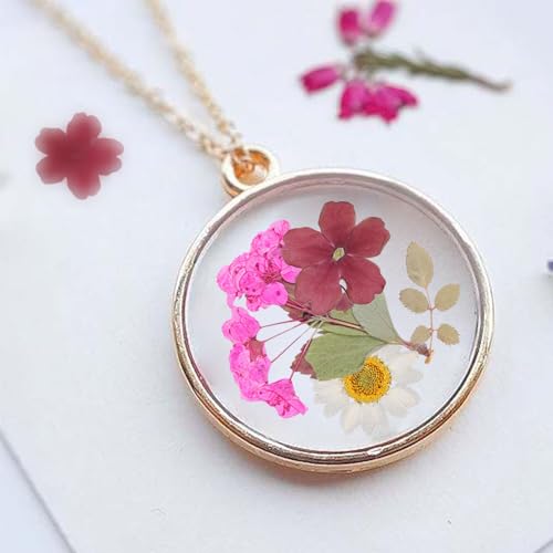 180Pcs Dried Pressed Flowers Resin Mold Real Pressed Flowers Natural Dry Leaves Bulk Mixed Colorful Daisy Herbs Kit with Tweezers for Scrapbooking Gvhntk