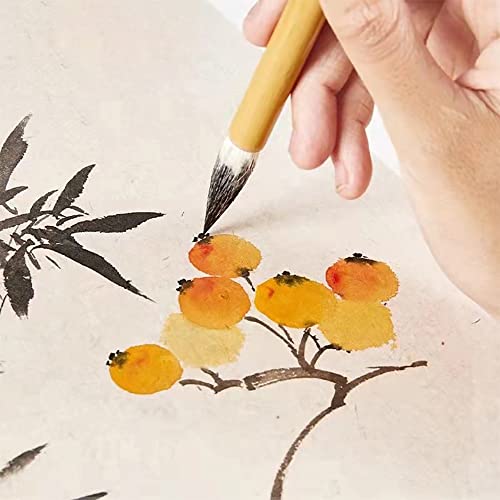 DIUDIU CAT Chinese Brush,Chinese Art Brush Set,Kanji Japanese Sumi for Writing Drawing, One Set of 10 Brushes (with Brush Bag) DIUDIU CAT
