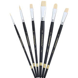 Transon Paint Brush Set 6pcs Art Painting Flexible Bristle for Acrylic Watercolor Gouache Oil Leather Canvas and Face Painting TRANSON