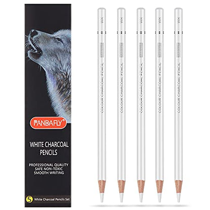 PANDAFLY 8 Pieces Super Soft, Soft, Medium and Hard Charcoal Pencils 5 Pieces White Charcoal Pencils Drawing Set - WoodArtSupply