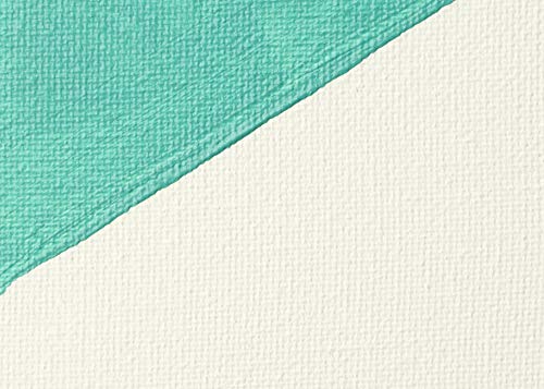 Liquitex Professional Gesso Surface Prep Medium, 946ml (32-oz), White Liquitex