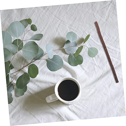 TEHAUX 40pcs Branch Tree Branch Decor Crafts with Twigs and Branches Exquisite DIY Wood Sticks Birch Tree Branches Birch Wood Sticks Delicate DIY TEHAUX