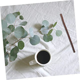 TEHAUX 40pcs Branch Tree Branch Decor Crafts with Twigs and Branches Exquisite DIY Wood Sticks Birch Tree Branches Birch Wood Sticks Delicate DIY TEHAUX