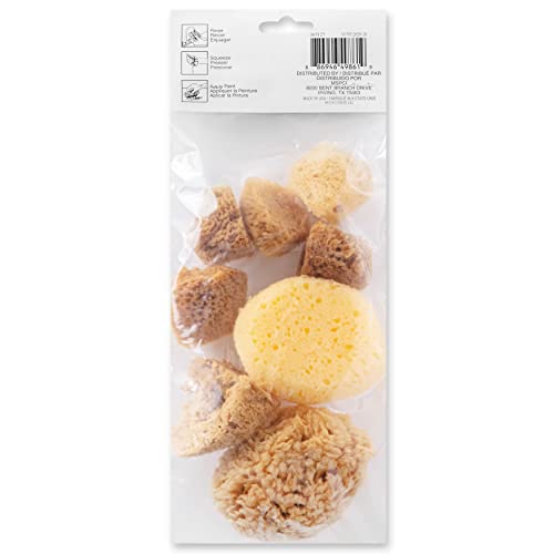 Artist Sponges Natural & Synethic by Craft Smart, 8 Pieces Craft Smart