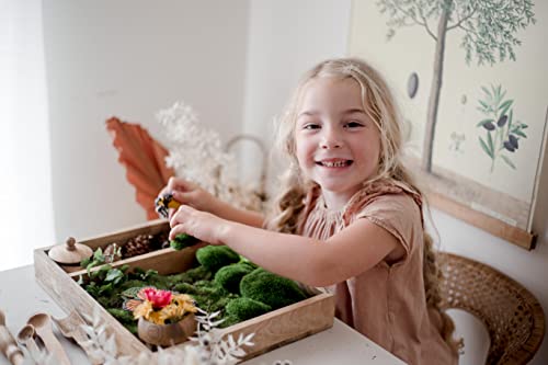 KOOKAROO Sensory Play Bin - 9 Montessori Sensory Bin Tools + 1 Sensory Box - Sensory Table Toys - Waldorf Toys - Sand Tray - Wooden Scoops for KOOKAROO