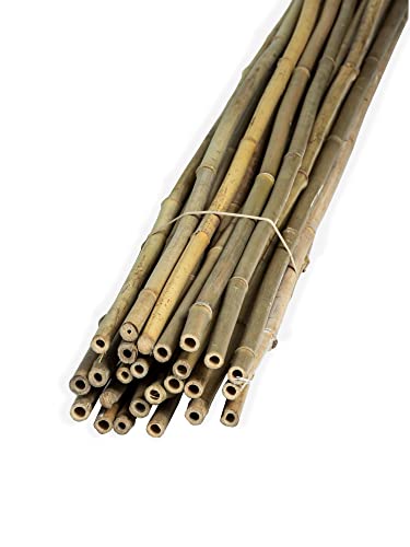 FOREVER BAMBOO BAMA-BP11 Bamboo Garden Stakes Plant Support, 3/8" D x 4' H, Natural - WoodArtSupply