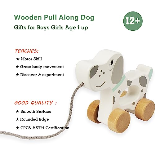 WoodenEdu Baby Toys Car,Wooden Pull Along Toddler Toy, Developmental Toy for 1 Year Old Girl Boy Birthday Gift (Dog) WoodenEdu