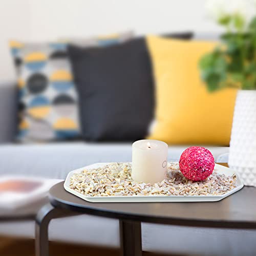 HappyFiller 1.4 Pound Broken Pieces Crushed Shells Chips Vase Filler Resin Arts,Succulents,Plants Top Dressing Soil Cover,Hotricultural Pebbles Grow HappyFiller