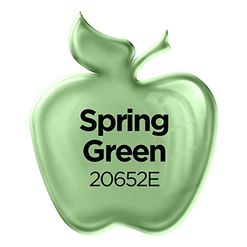 Apple Barrel Gloss Acrylic Paint in Assorted Colors (2-Ounce), 20652 Spring Green - WoodArtSupply