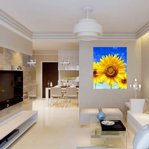 ENLAYER 40X50 cm Wooden Frame DIY Picture Frames Art Suitable for Home Decor Painting Digital Diamond Drawing Paintings, Display Pictures 16x20 ENLAYER