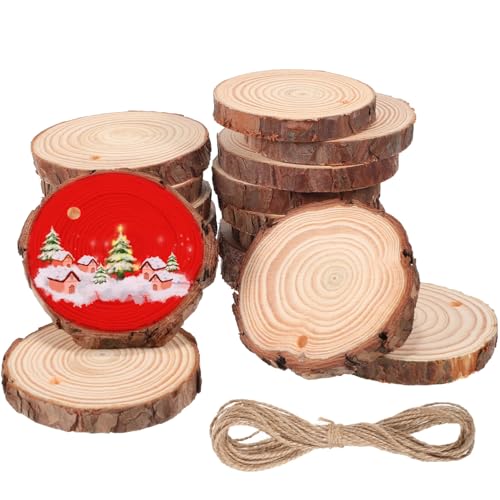 Operitacx 25pcs Unfinished Natural Wood Slices Wooden Circles Natural Wood Slices for Crafts Wooden Discs for Crafts Natural Wood Slices for DIY - WoodArtSupply