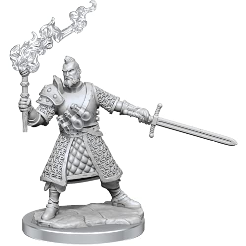 D&D Frameworks: Human Fighter Male - Unpainted and Unassembled - WoodArtSupply