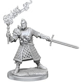 D&D Frameworks: Human Fighter Male - Unpainted and Unassembled WizKids