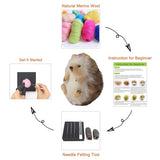 Feltsky Hedgehog Needle Felting Kit for Beginners Easy Steps to Make with Everything, Christmas for Mom, Grandma, Kids Feltsky