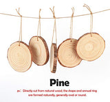 Natural Wood Slices 30Pcs 3.1''-3.5'' Unfinished Wood kit with Pre-drilled Hole, Wood Slices Ornaments for Christmas DIY Rustic Crafts Wooden Circles ilauke