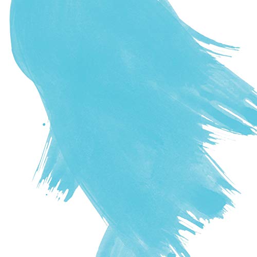 Speedball Fabric Screen Printing Ink, 8-Ounce, Night Glo Blue, Glow in The Dark Speedball