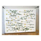 Wooden Flower Press Kit, Leaf Press, Nature Plant Press Set, Fruit Pressing Kit, Wooden Art Kit for DIY Art Handcraft (6.3x8.3inch/16x21cm) LIXINDEE