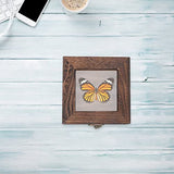 Mipcase Wood Glass Top Jewelry Display Case Accessories Storage, Wooden Jewelry Tray for Collectibles, Home Organization Box with Metal Clasp and Mipcase