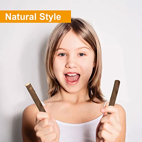 CertBuy 120 Pack Wood Log Sticks 10 CM / 4 Inch, 0.8-1.2 CM in Diameter Twigs for Crafts, Craft Twigs Branch Willow for DIY Crafts, School Projects, CertBuy