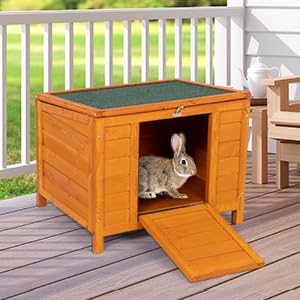 COZIWOW Fashion Wooden Small Animal House, Stable Outdoor Rabbit Hutch Weatherproof Bunny Cage Indoor, Insulated Pet Shelter for Cat Kitten Dog