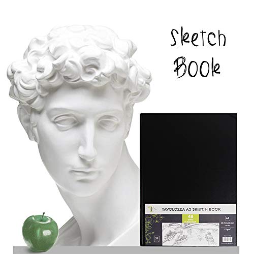 Tavolozza A3 (16.54"x11.69") Heavyweight Hardcover Sketch Book, 96 Pages (102 lb/170gsm), Durable Acid Free Drawing Paper for Painting & Drawing Dry - WoodArtSupply