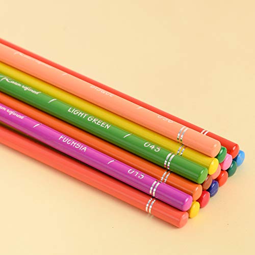 Basics Premium Colored Pencils, Soft Core, 24 Count (Pack of 1)