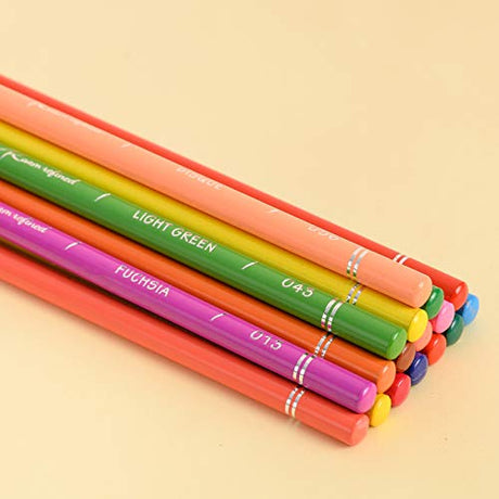 48 Premium Colored Pencils for Adult Coloring,Artist Soft Series Lead Cores with Vibrant Colors,Professional Oil Based Colored Pencils,Coloring RAAM REFINED