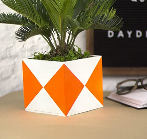 DecoArt Acrylic 2 oz 12 Count Brights Craft Paint Value Pack, 2 Fl Oz (Pack of 12), 24 Oz DecoArt