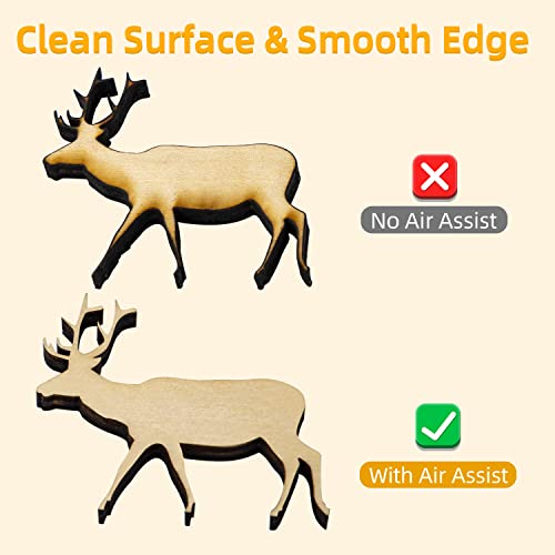 FoxAlien AP30A Portable Air Assist Pump 30L/min Adjustable Air Volume for Laser Engraver CNC Engraving Machines FoxAlien